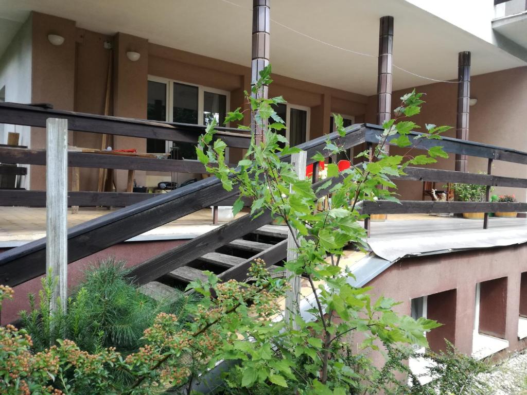 House exterior with terrace